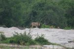 safrica_dec_13_image92.jpg